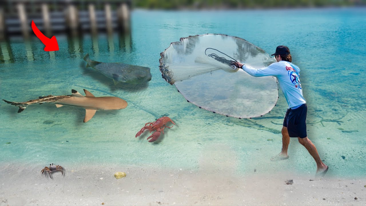 I Caught a Rare PUFFER FISH in Tide Pool Area...
