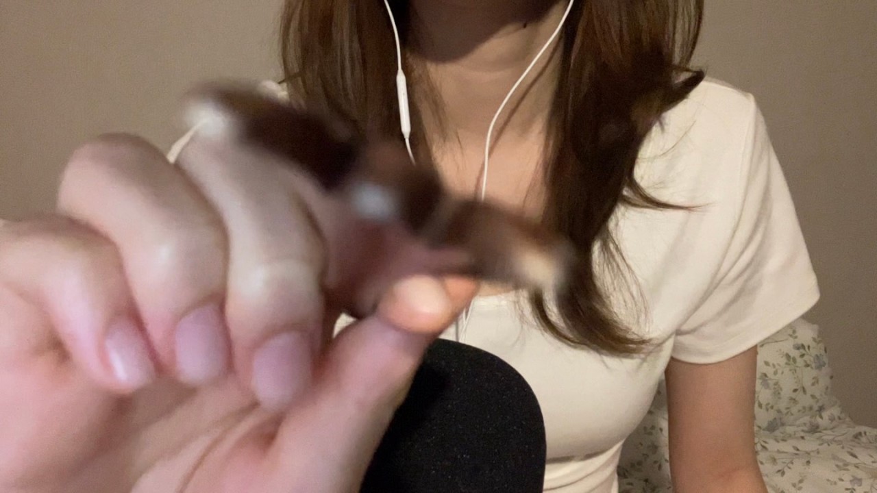 ASMR | 시각적 팅글을 낉여왔어요 (입소리, 코코넛 레인, 단어반복, 불빛)