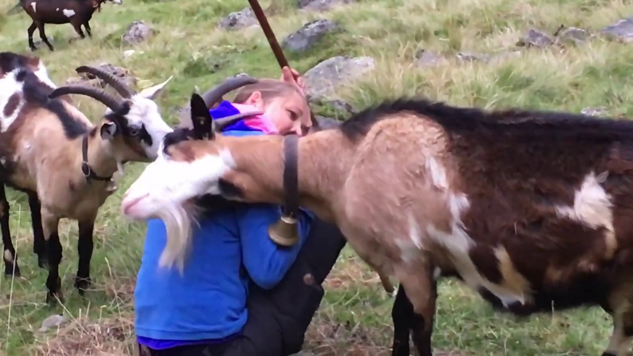 Entspannend und sinnstiftend - die Schule der Alm