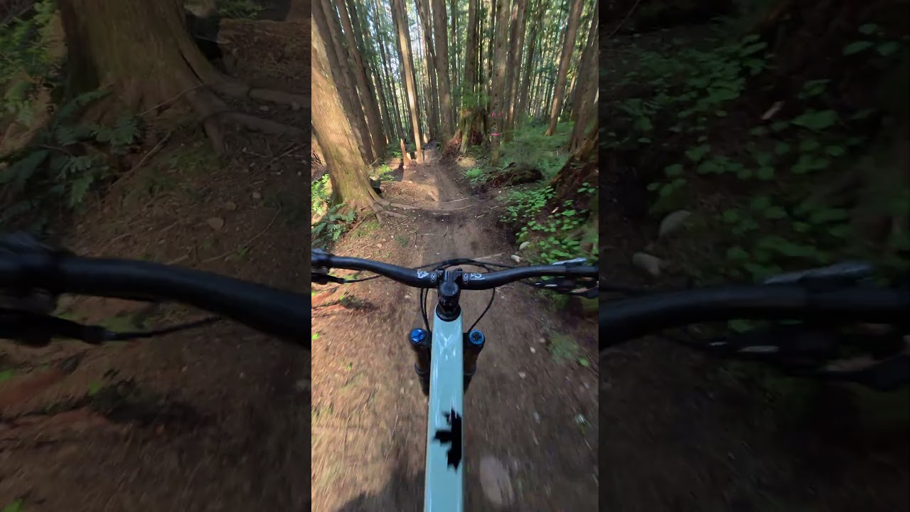 Log drop at Tiger Mountain