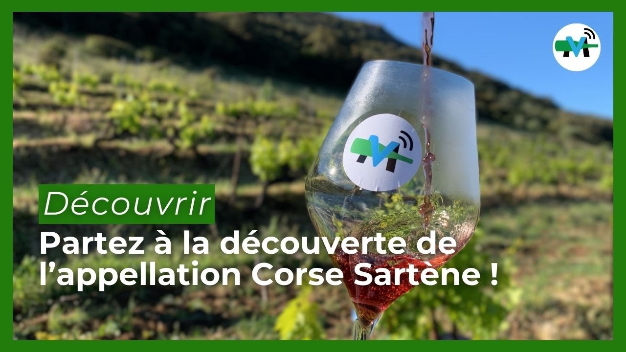 À la découverte de l'appellation Corse Sartène !
