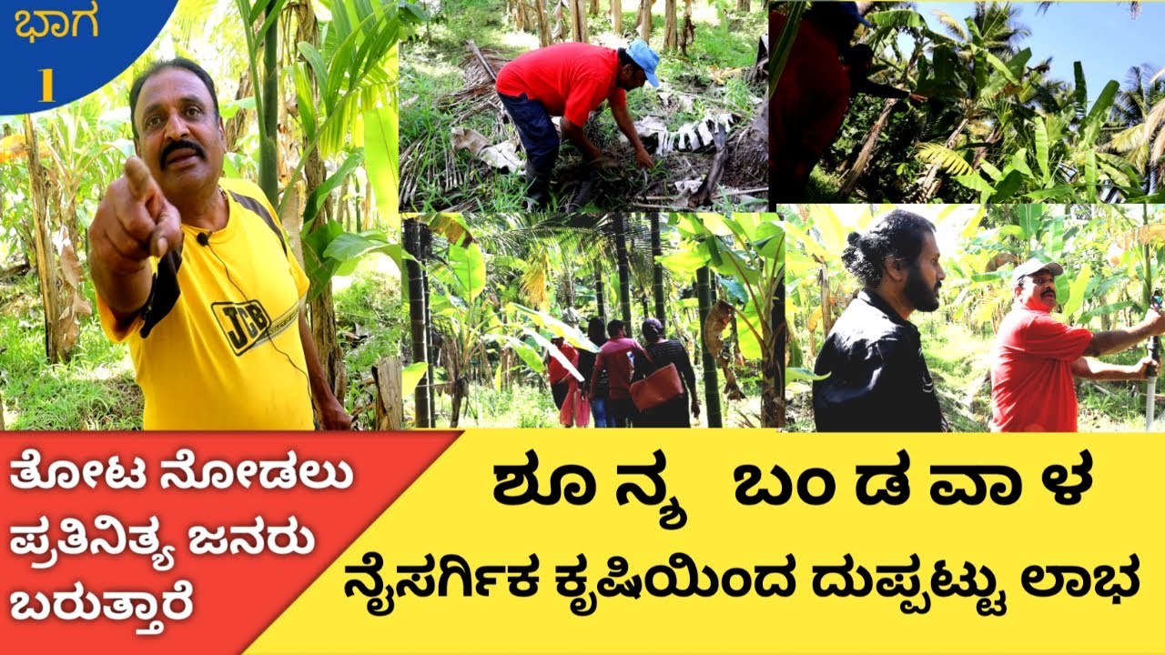 Integrated farming in Karnataka | Zero budget and double income | Subash palyakar | Kannada |