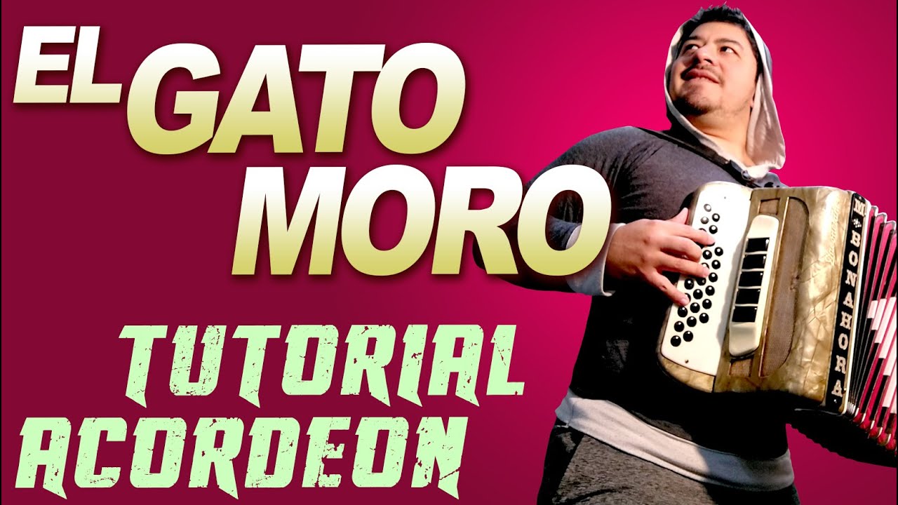 TUTORIAL: EL GATO MORO - Tutorial de Acordeon Verdulera
