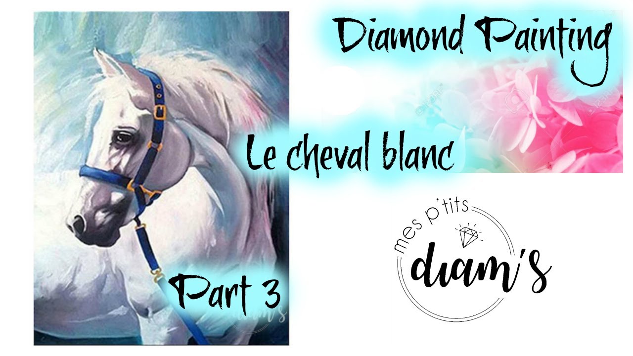 DIAMOND PAINTING LE CHEVAL BLANC DE MES P'TITS DIAM'S PART 3