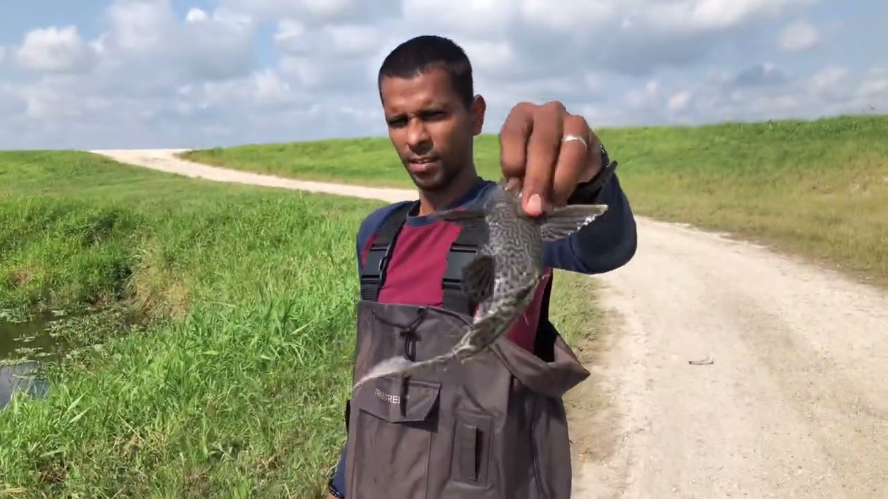 Fishing in  Palm Bay