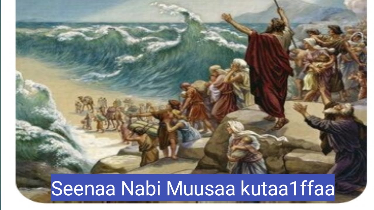 Seenaa Nabi Muusaa kutaa 1ffaa