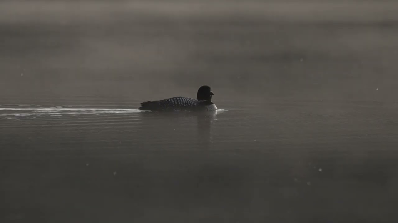 Itasca Video footage