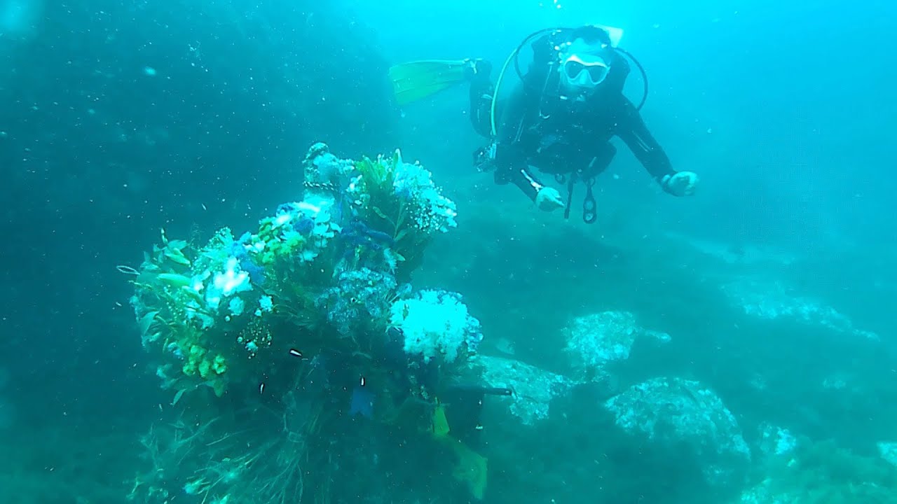 La Virgen del Carmen tuvo su ofrenda de flores bajo el agua