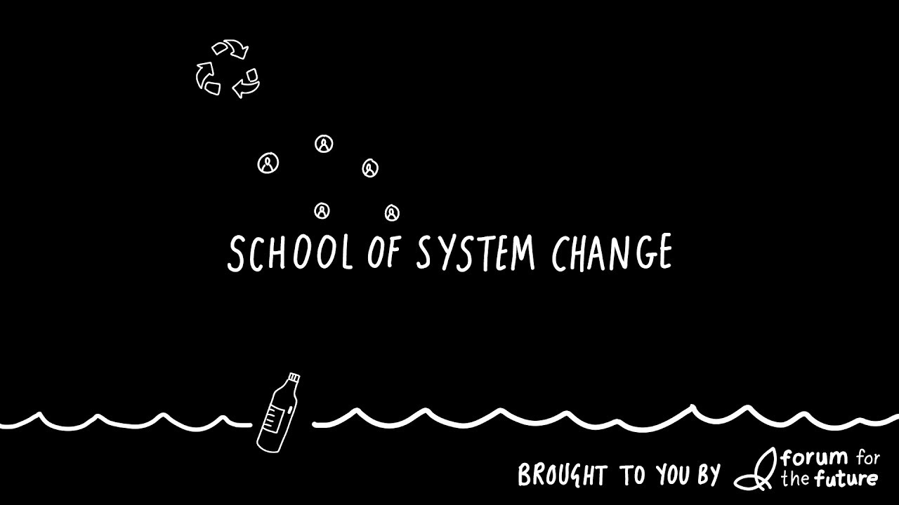 School of System Change