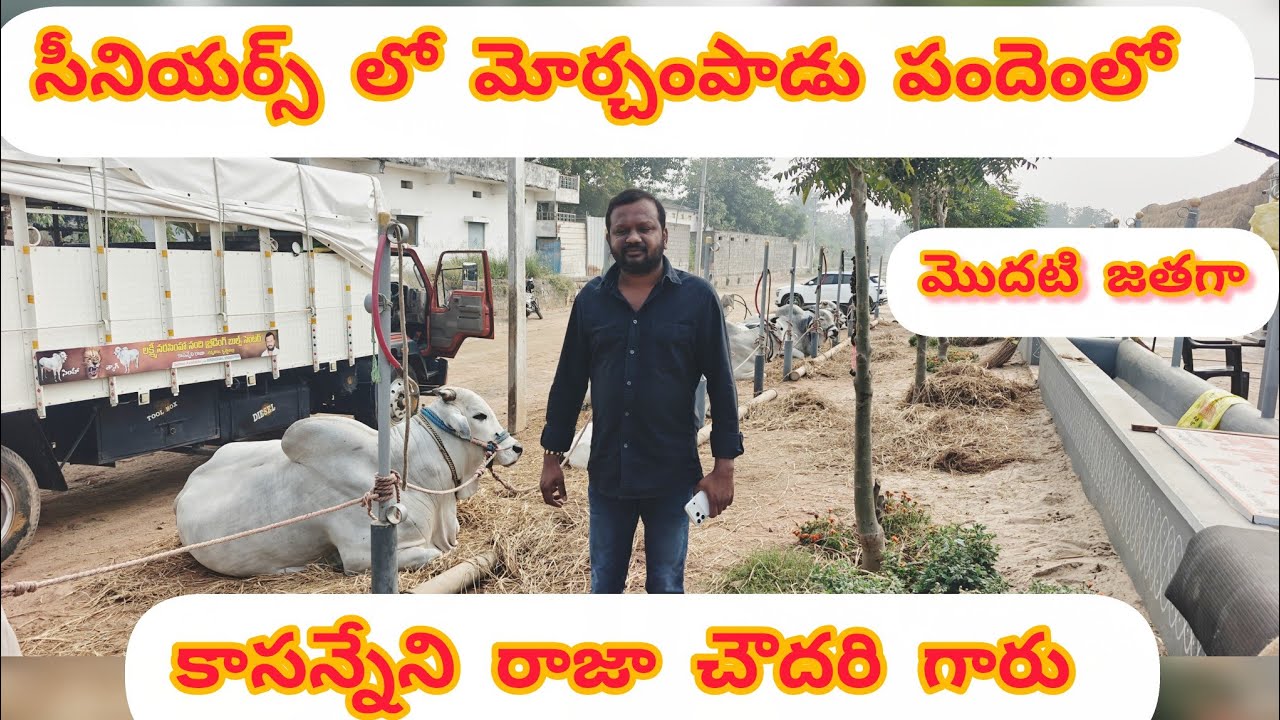 మొర్జంపాడులో 1జత కాసన్నేని రాజా చౌదరి వల్లభనేని మోహన్ రావు, JR.అభయంత్ & ఉగ్రతేజ