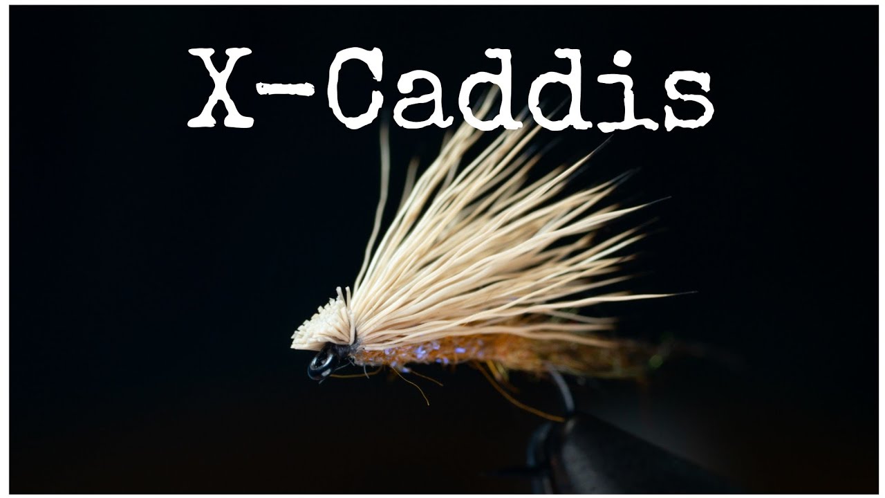 X Caddis (and few tying tips)