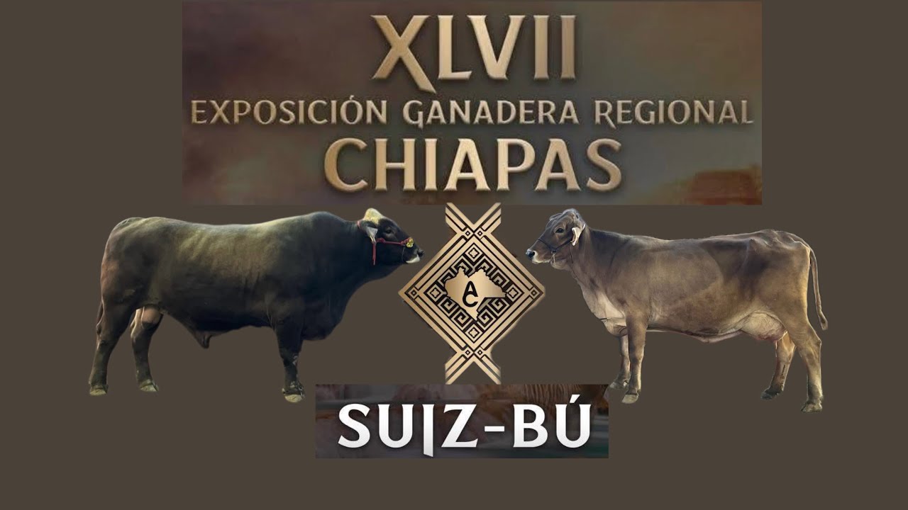 Suiz-Bu. Expocision Ganadera Regional Tuxtla. Gtz. Chis.