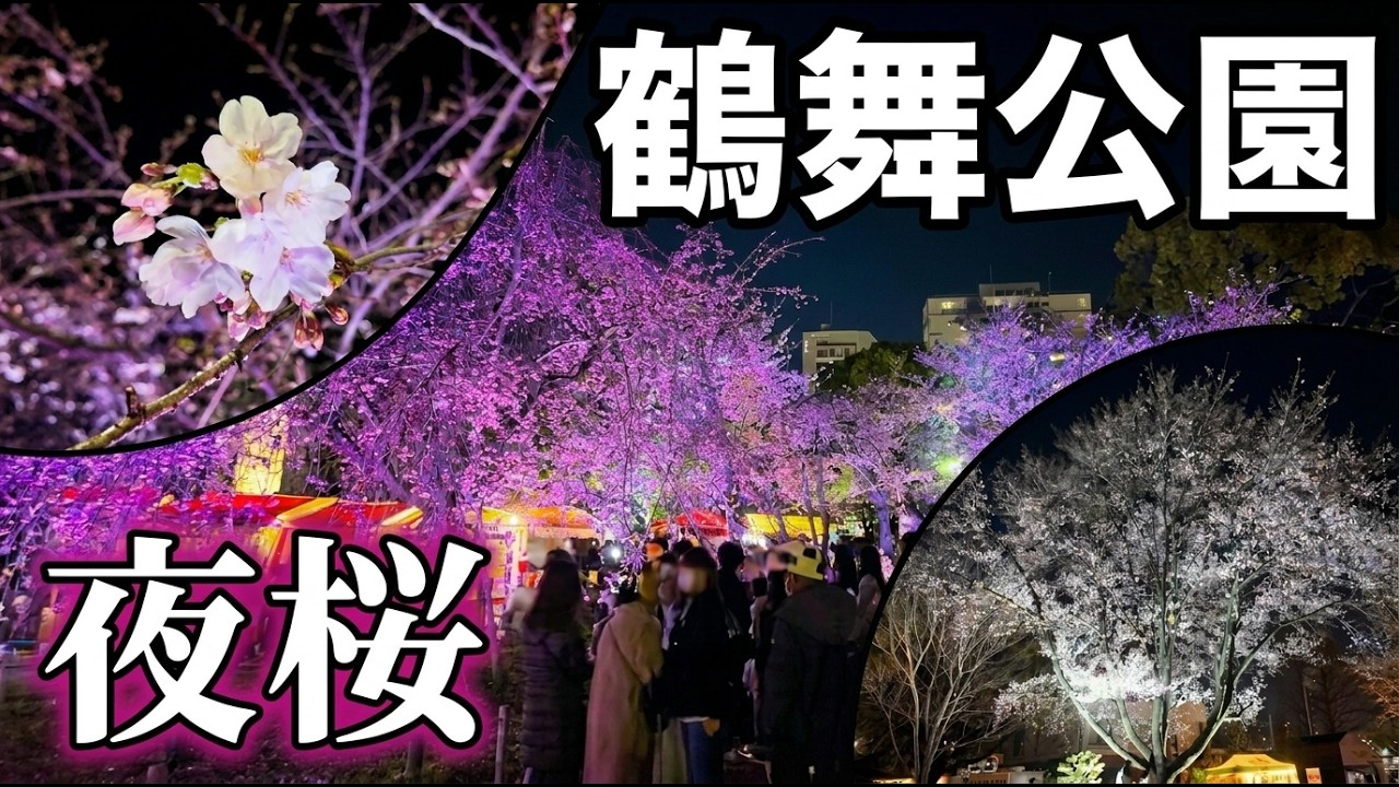 【速報】鶴舞公園の夜桜2026｜初日ライトアップ＆お花見スポット3選（2026/3/20 名古屋）