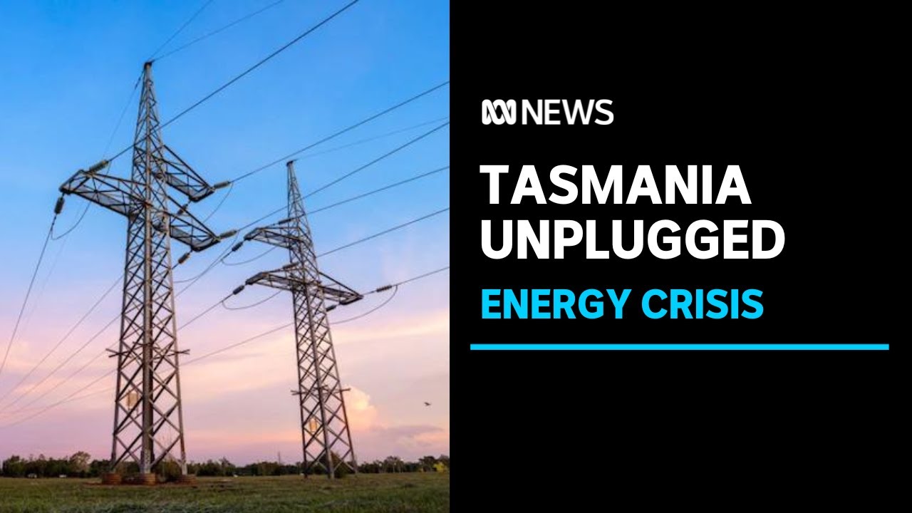 Electricity grid operator suspending wholesale market | ABC