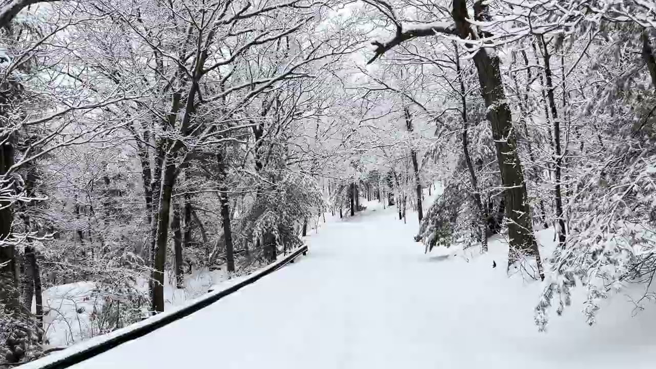 Fresh snow | 02/21/2026