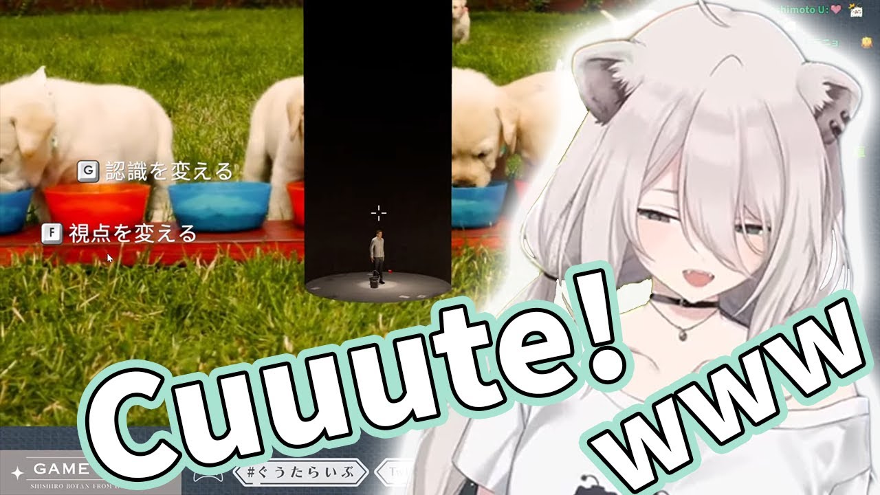 Shishiron exploring the Mostly Infinite Hole [Hololive/Shishiro Botan]