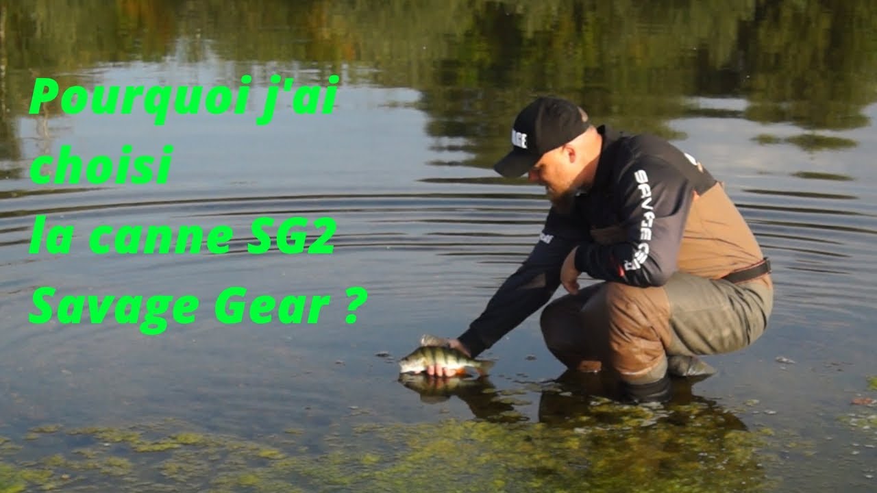POURQUOI j'ai CHOISI la CANNE SG2 Savage Gear #savagegear #peche #cannes #loire