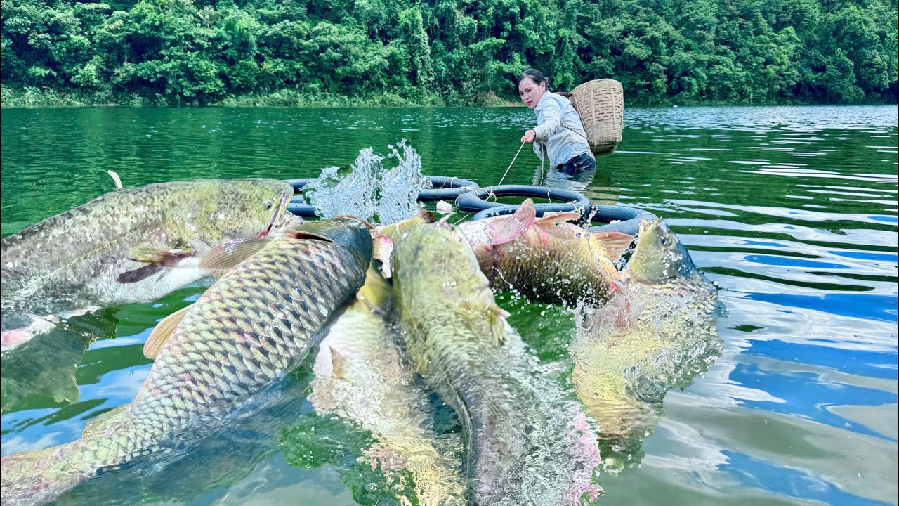 Traditional Fishing Skills - Single Mother Catches Giant Fish Using Rubber Buoy