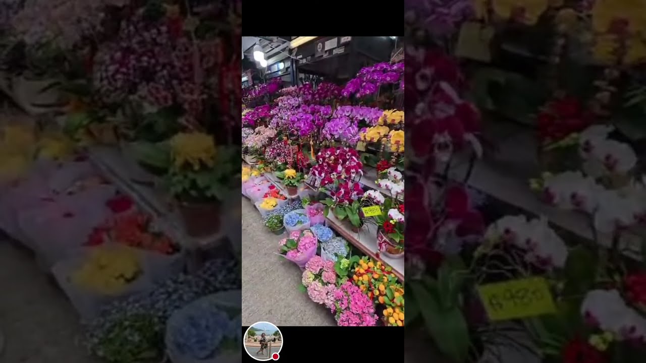 Wonderful Flowers for Chinese New Year SC February 16, 2026