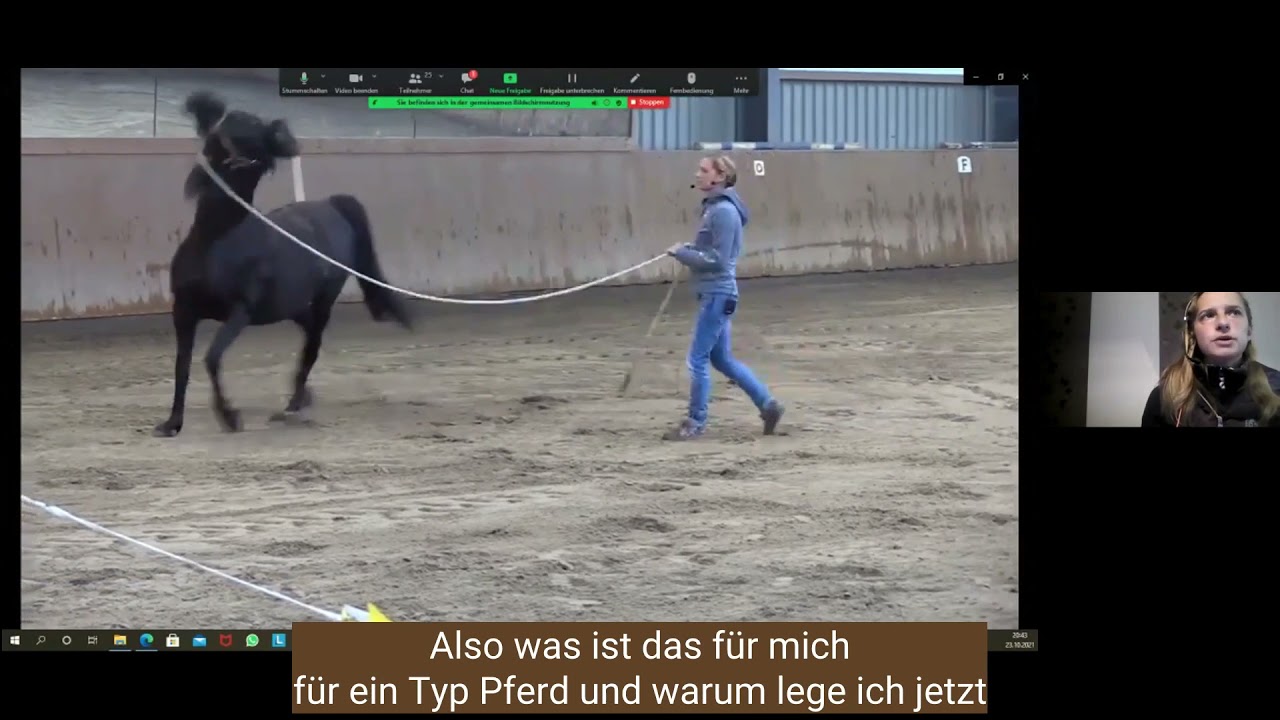 Mit einem Pferd 