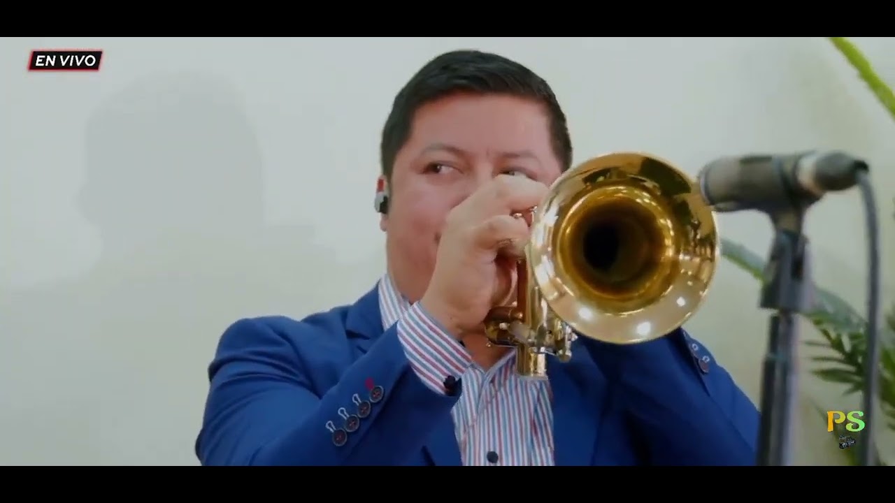 Wilson Camey Una Paloma Voló