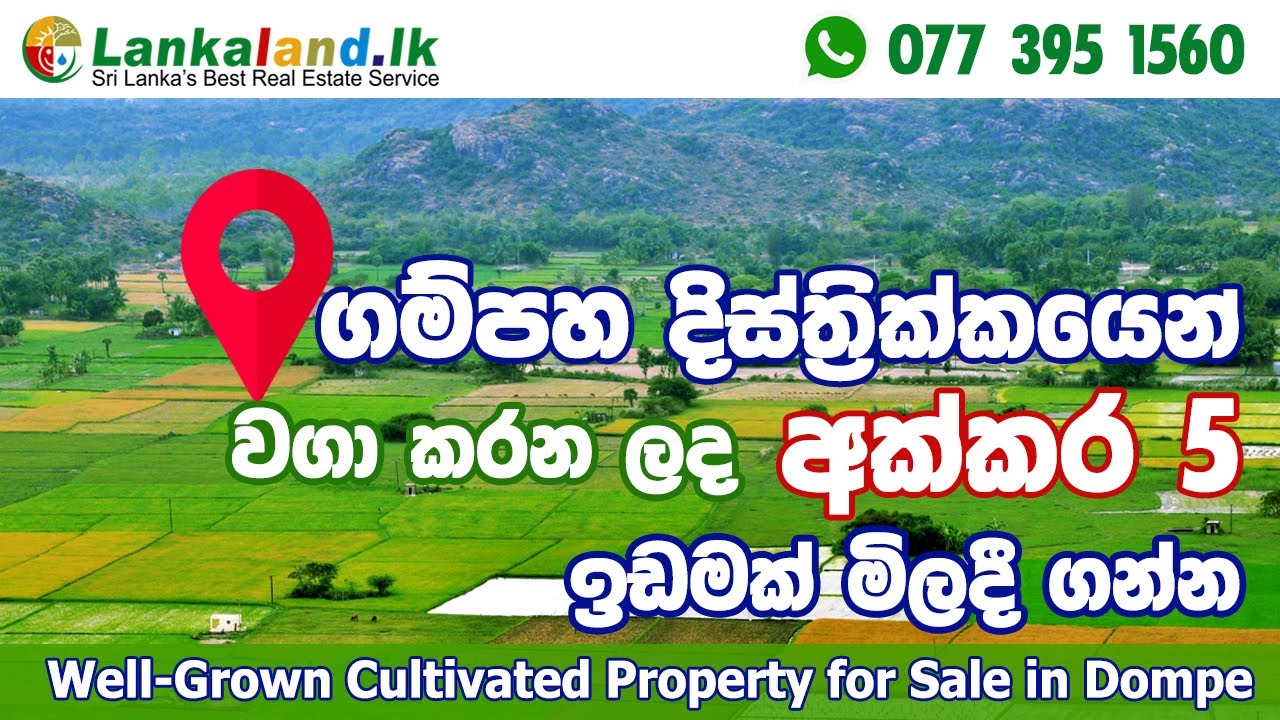 Well-Grown Cultivated Property for Sale inGampaha District. /  වගා කරන ලද  අක්කර 5ක ඉඩමක් විකිණීමට.