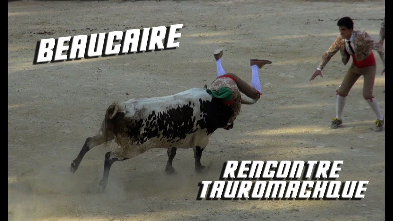 BEAUCAIRE Rencontre Tauromachique 29-07-2017 🐃