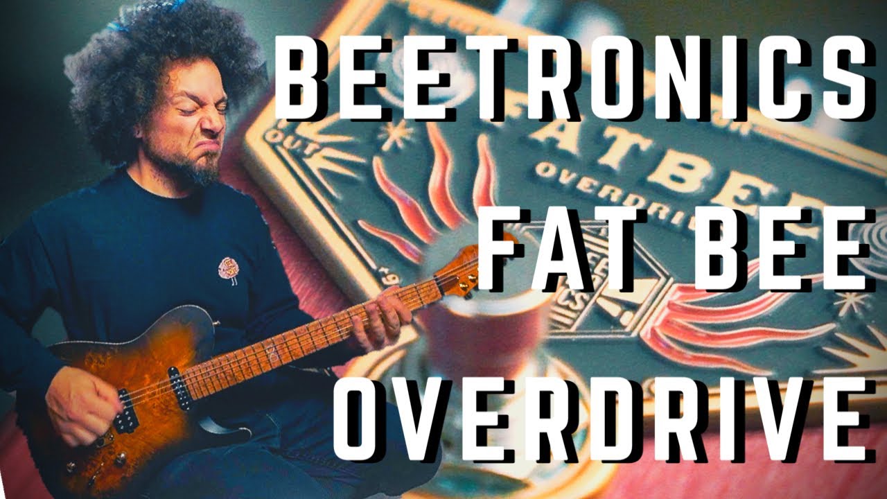 Gains As Thick As Honey | Beetronics Fat Bee Overdrive