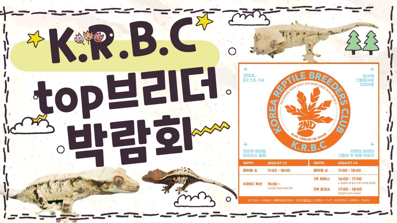 국내TOP브리더들의 박람회 KRBC에 가다!!!!!!고퀄 크레스티드게코이 좌르르르르~~#크레스티드게코 #gecko #oktv #박람회 #reptiles
