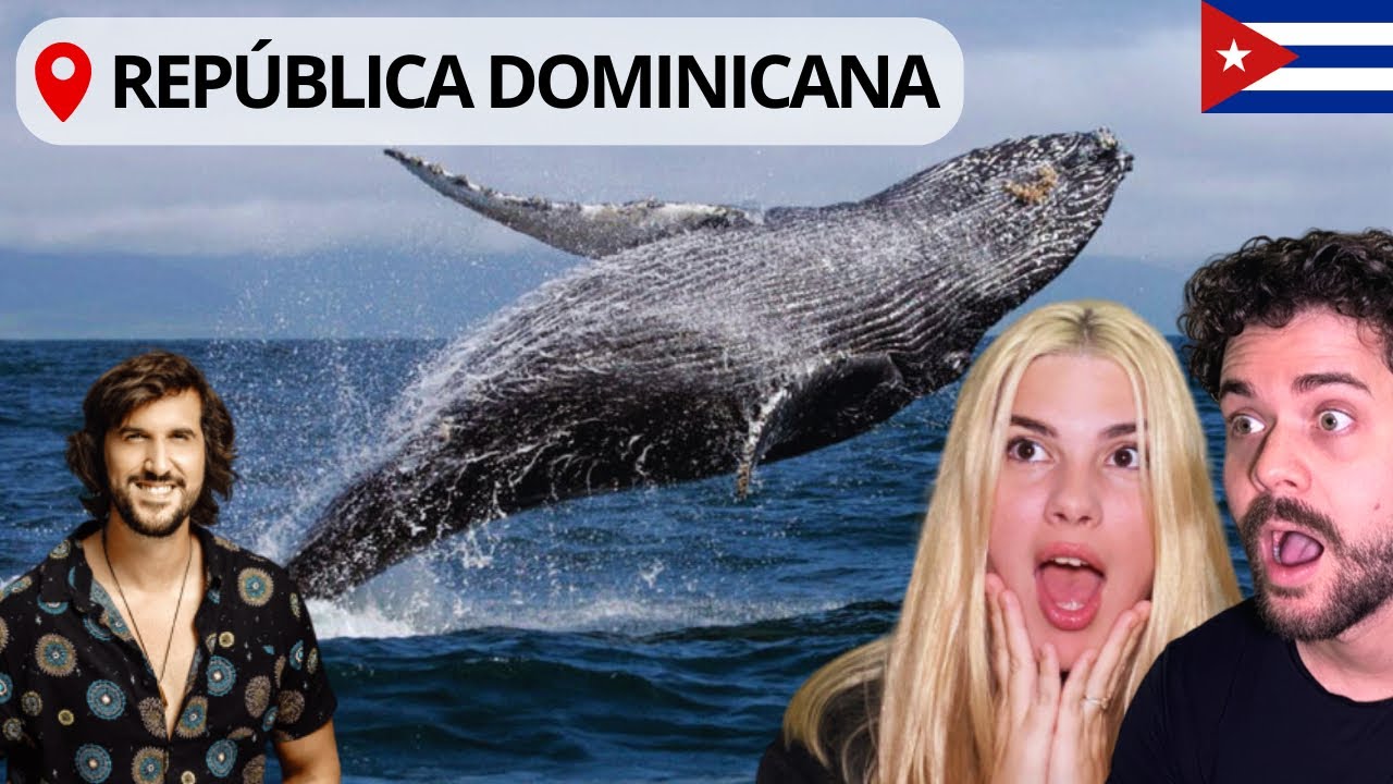 Un SUEÑO hecho realidad! Avistamiento de Ballenas en Samaná 🐋🇩🇴
