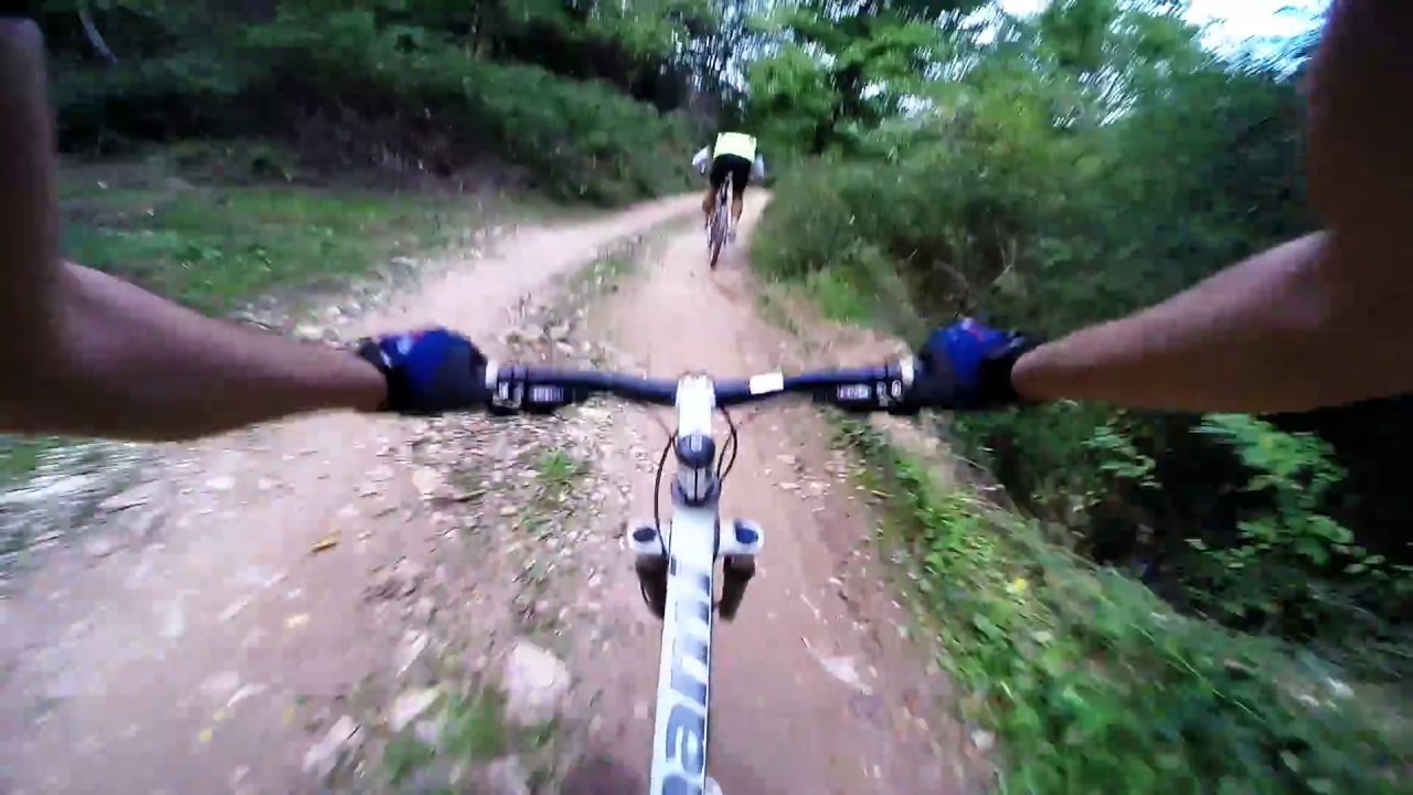 MTB Family | Leskovac - Polar 