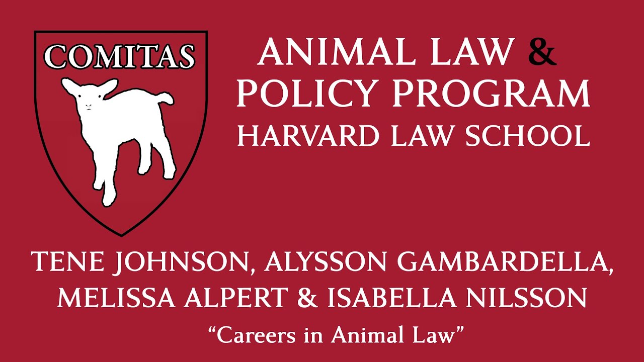 Careers in Animal Law