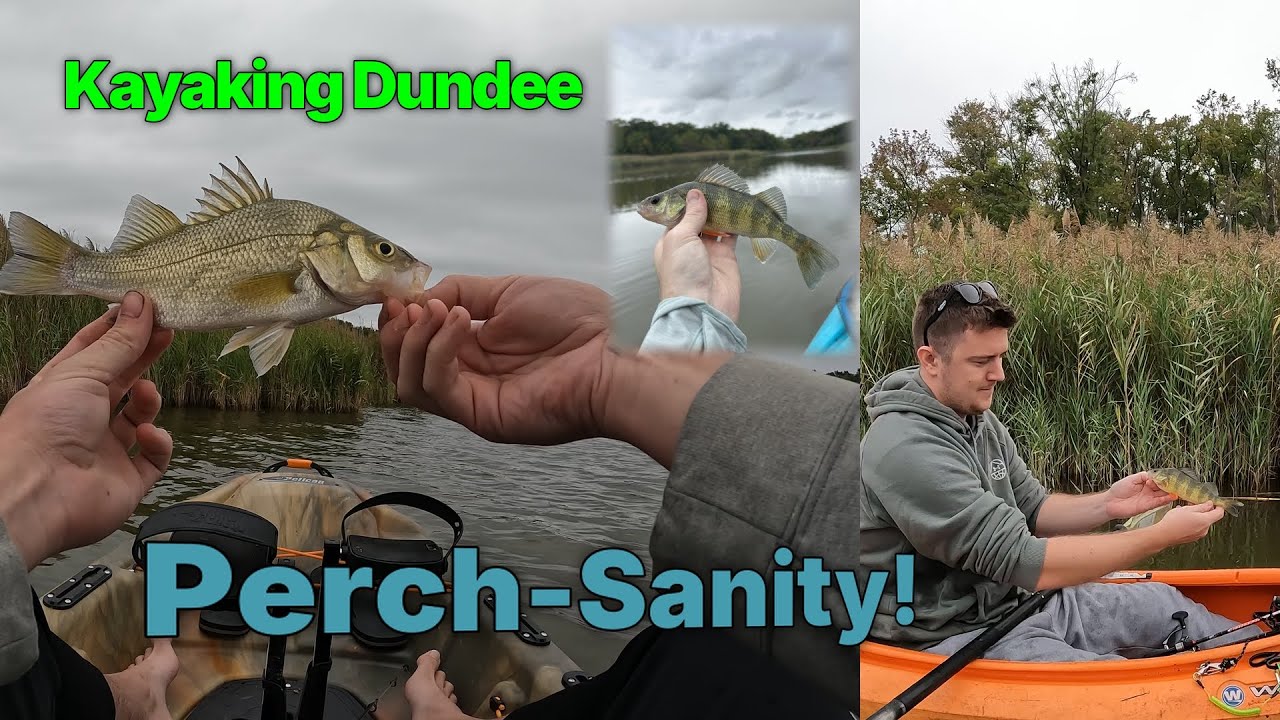 Dundee Creek Kayak Fishing | Most Perch We've EVER Caught!!