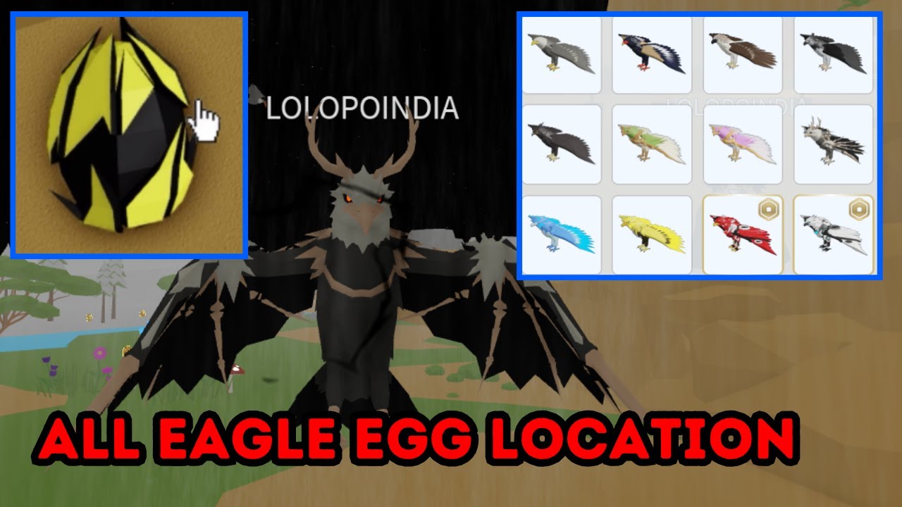 ВСЕ МЕСТОНАХОЖДЕНИЯ ЯЙЦ ОРЛА в Roblox Animal Simulator!
