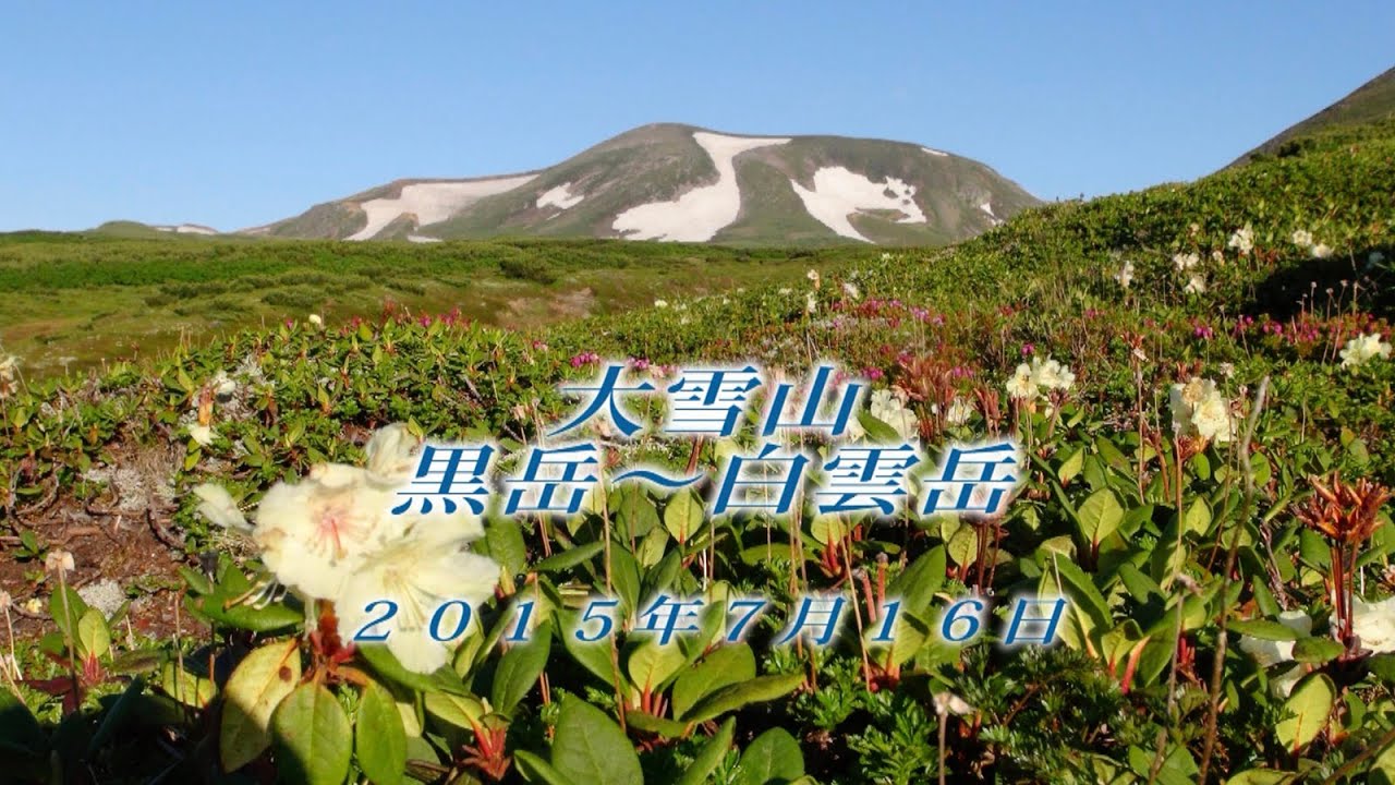 28 北海道 大雪山黒岳～白雲岳7月 2015年7月16日 - 生物多様性体験保全センター 高山植物を主とした野生植物の映像集