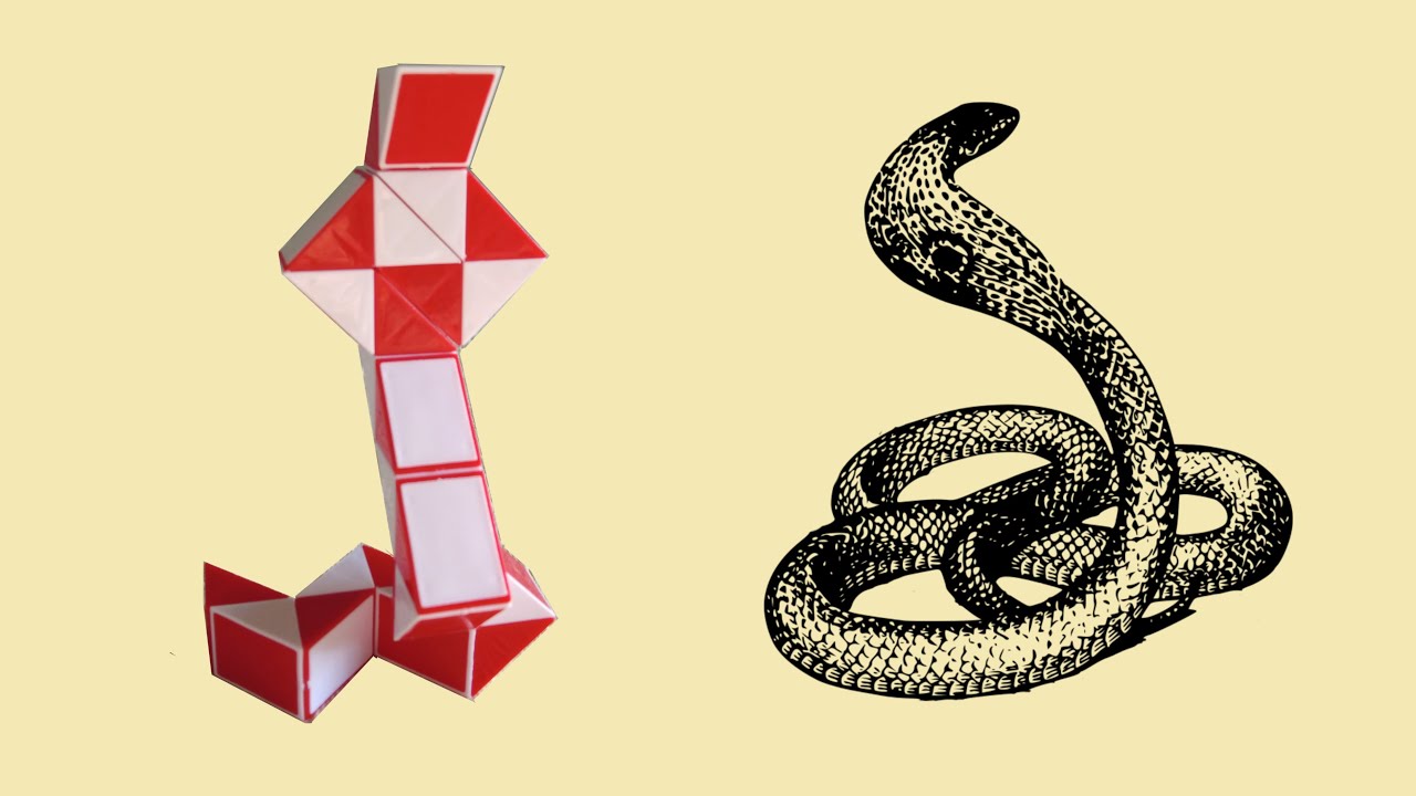 Kobra z zestawu 24-częściowego Snake (wersja 1)