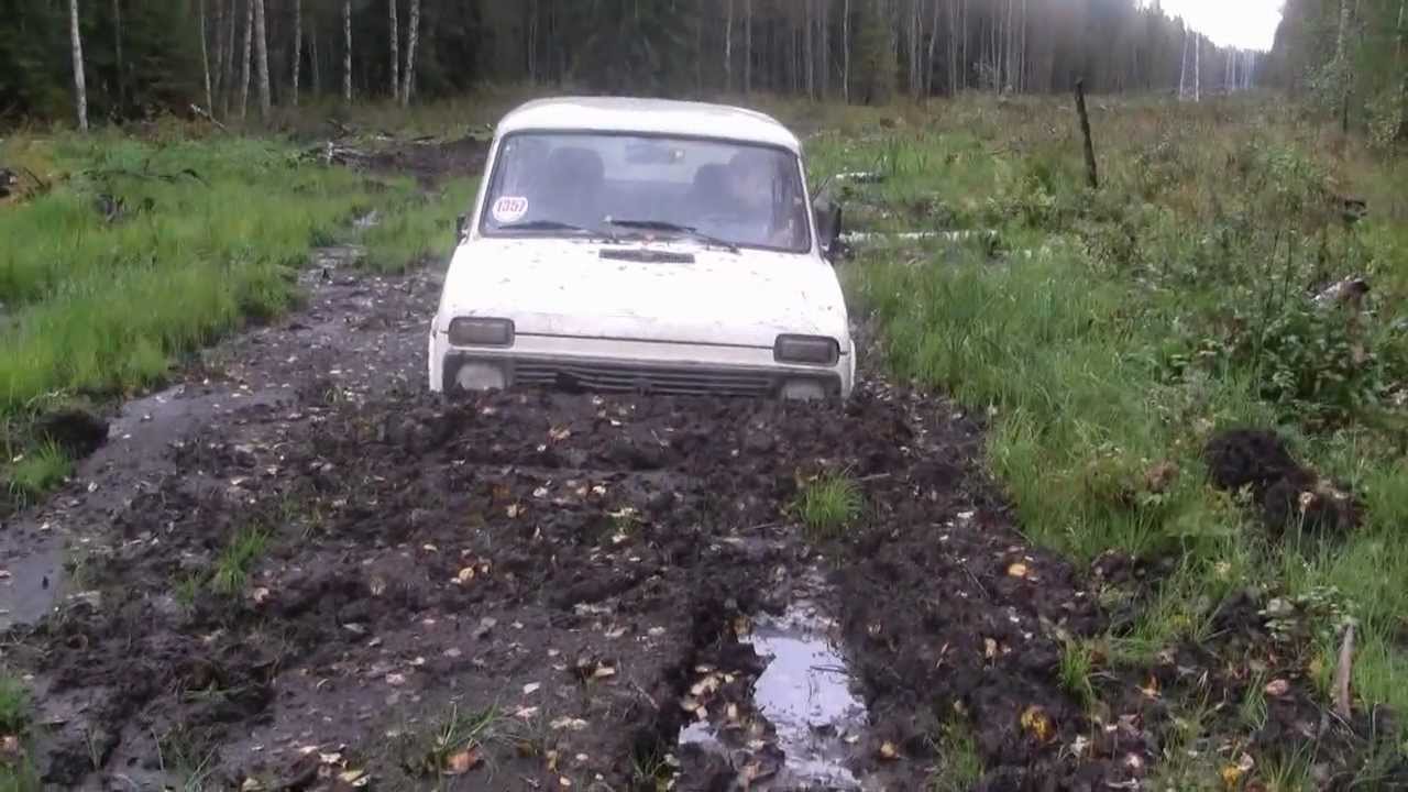 Нива на заболоченной ЛЭП