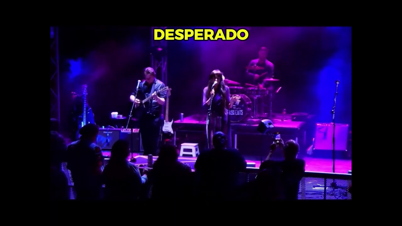 LINDA RONSTADT EXPERIENCE LIVE CONCERT  MEDLEY!