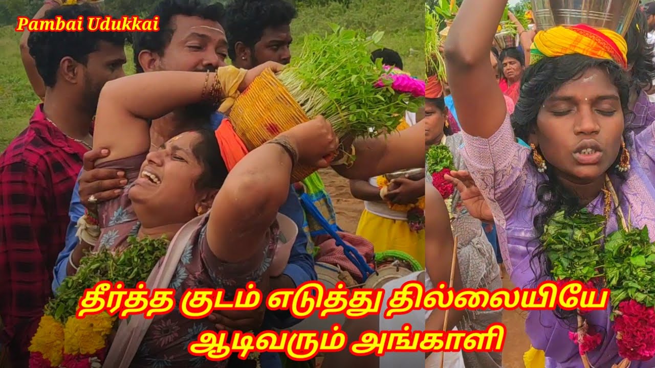 தீர்த்த குடம் எடுத்து தில்லையியே ஆடிவரும் அங்காளி  / பம்பை உடுக்கை  @pambaiudukkai ​