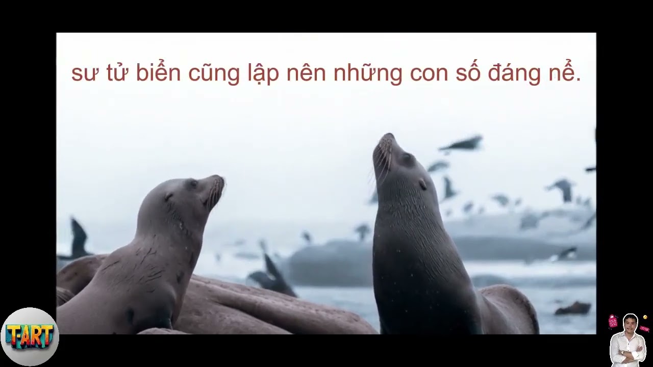 Top 5 Những Sự Thật, Kiến Thức Thú Vị Về Động Vật