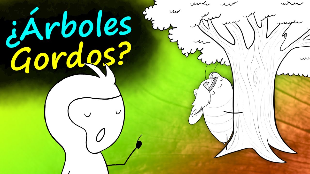Los ÁRBOLES más ALTOS del MUNDO