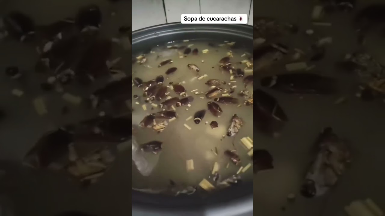 COMIDAS M&Aacute;S ASQUEROSAS DEL MUNDO 🤮 (parte 5) #comida #shorts