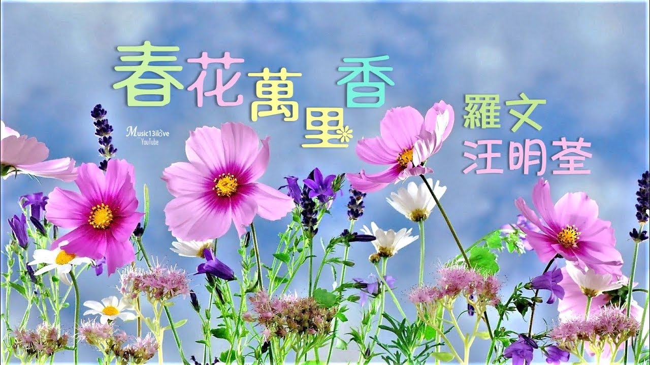 羅文 &bull; 汪明荃 《春花萬里香》新春新希望 ... (原曲 : 雲南民歌 '繡荷包')