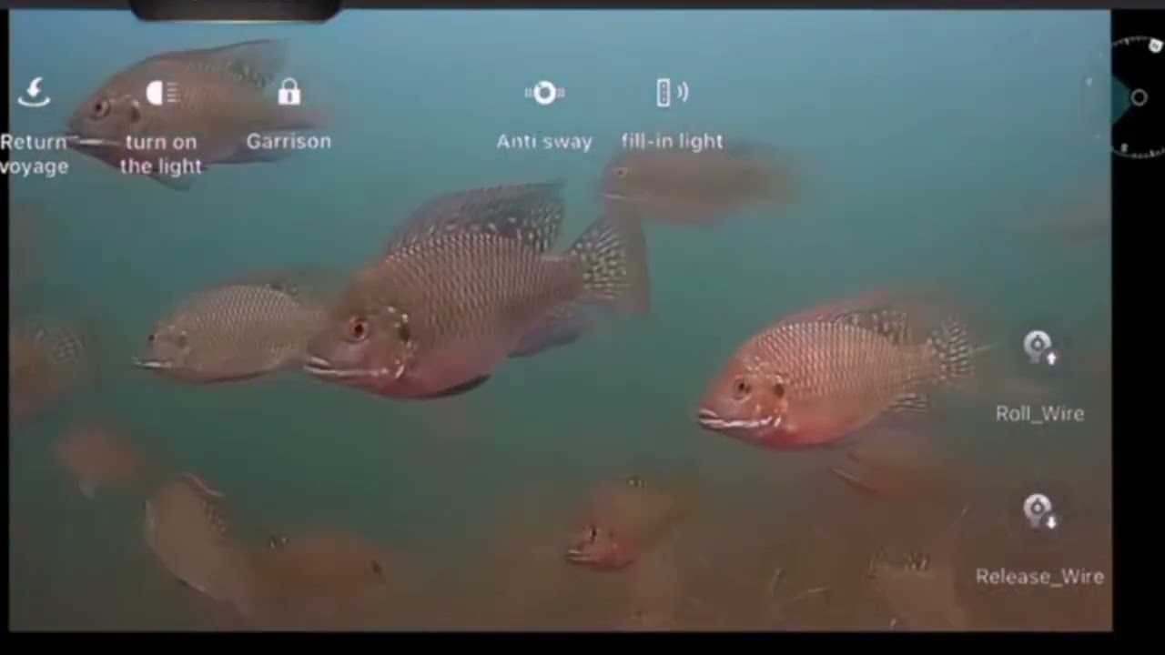 Обзор подводного дрона для рыбалки и подводной съемки Gladius Chasing F1 Pro Fish Finder Drone