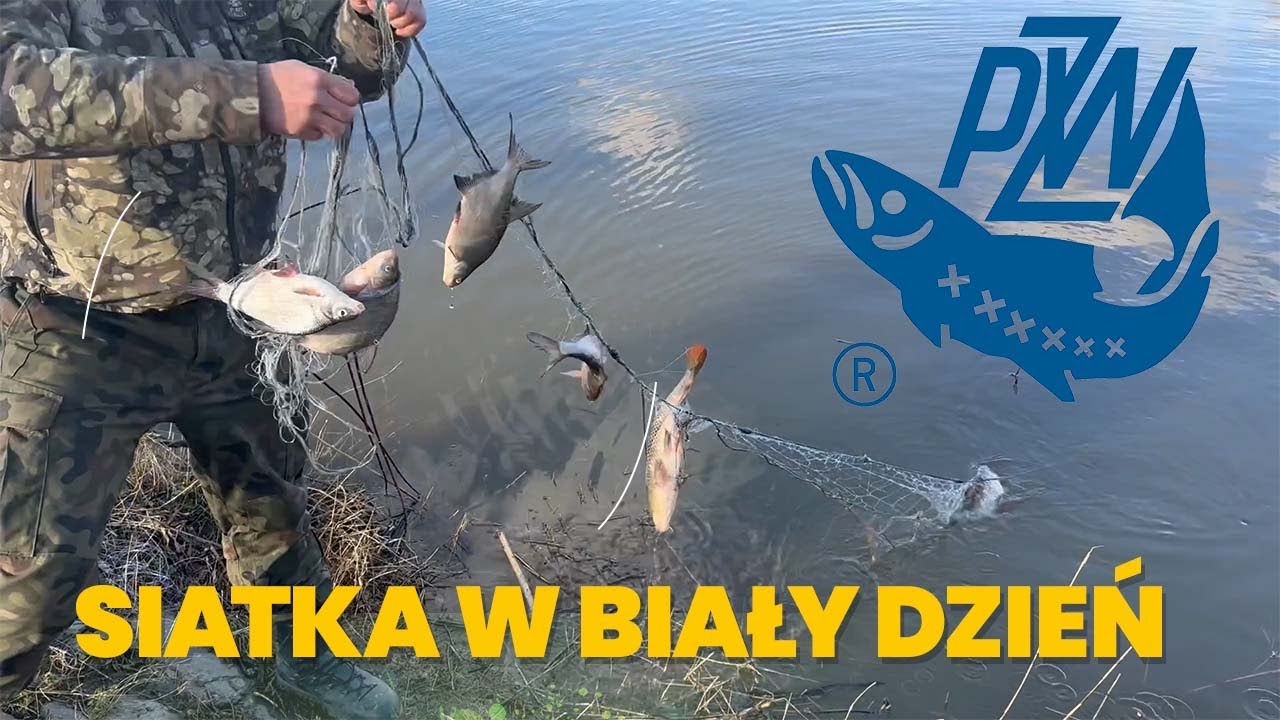 STRAŻ RYBACKA W AKCJI / SIATKI NA ZIMOWISKU WISŁY