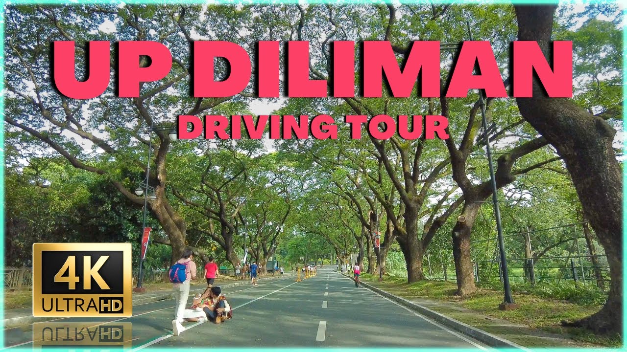 EXPLORING UP DILIMAN: A Captivating Driving Tour of Philippines' Iconic University 4K 🇵🇭