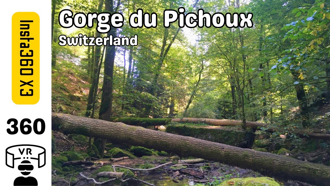 Hike through Gorge du Pichoux to Lac Vert (Undervelier), Switzerland 🇨🇭 - 360 VR & Spatial Audio 🎧