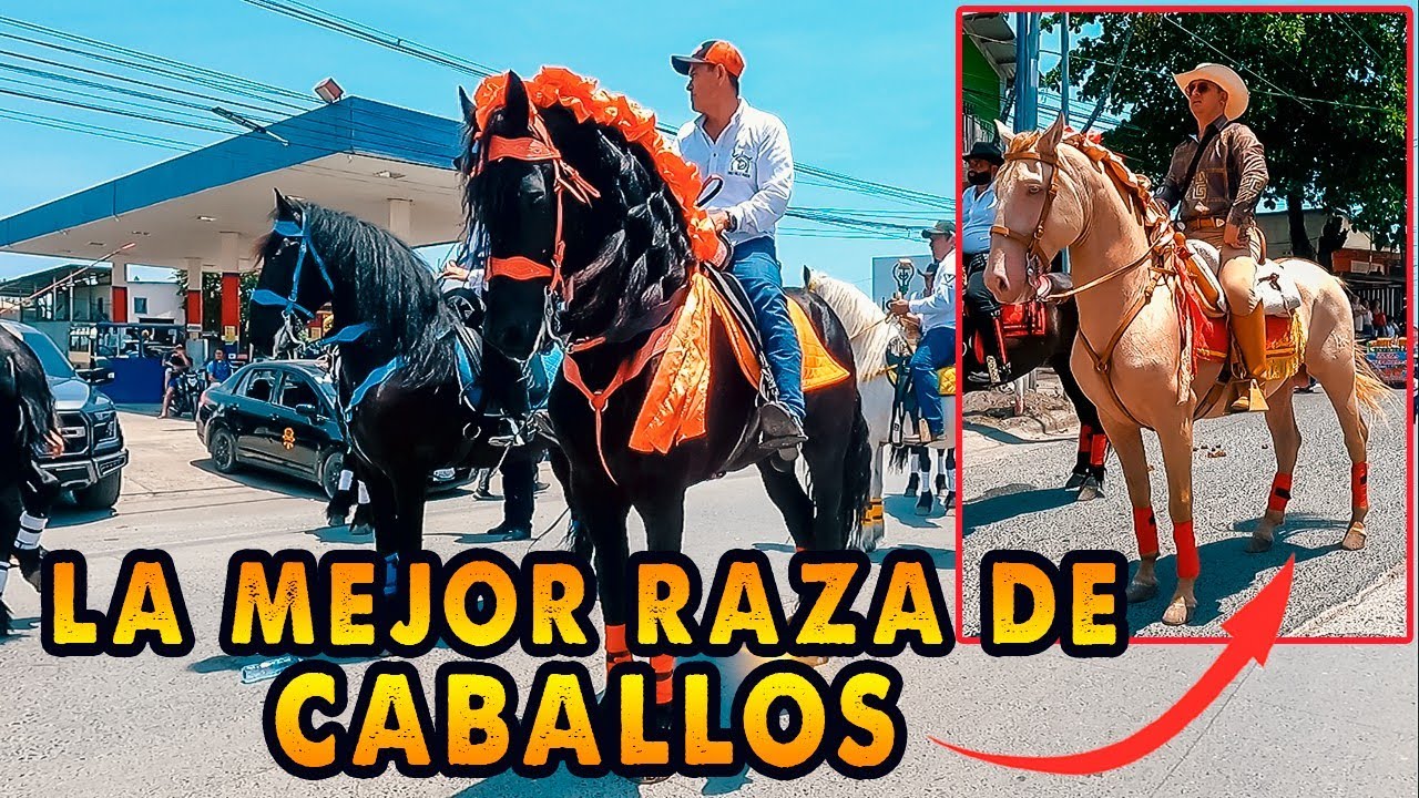 Desfile HÍPICO Puerto Barrios 2025/ Feria del Mar.