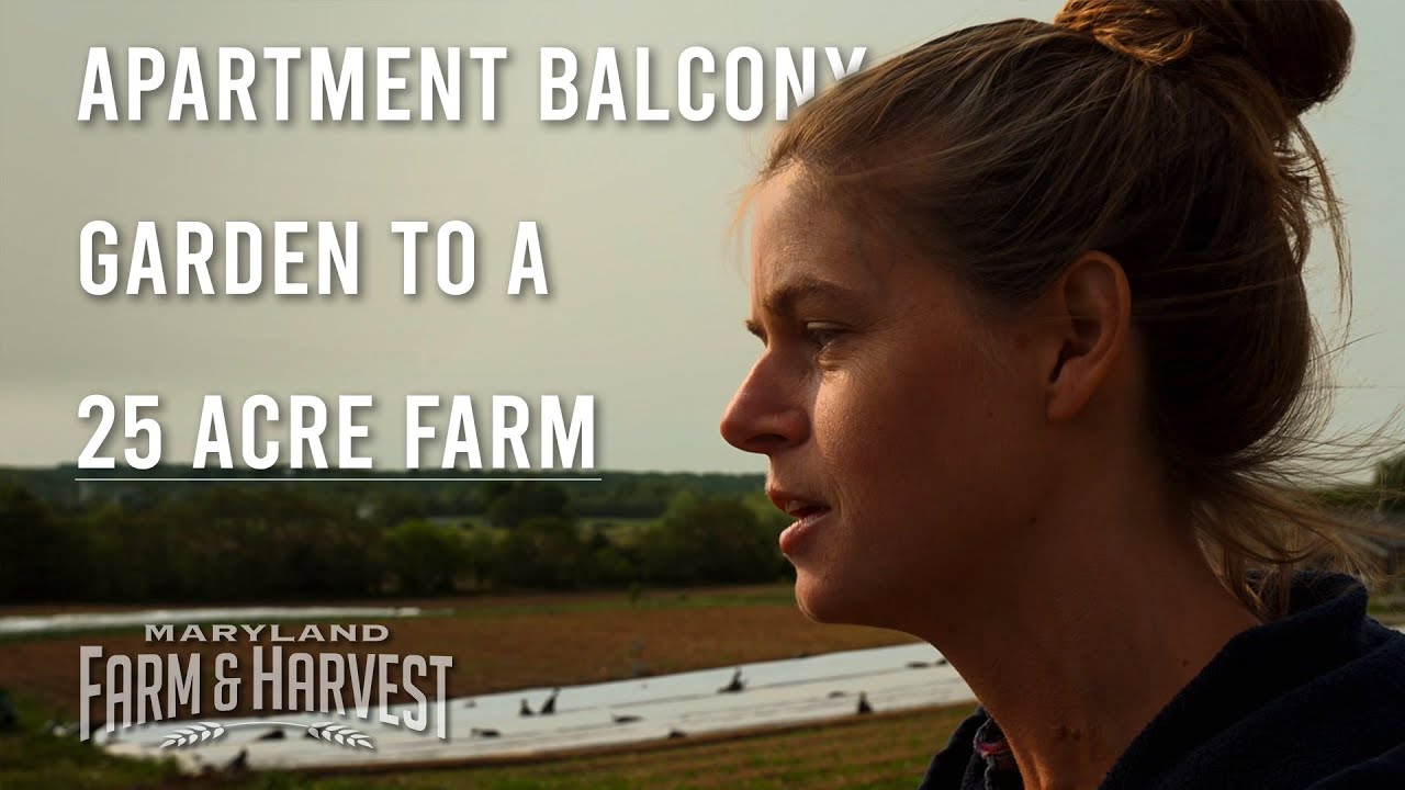 Growing a Successful CSA from the Ground-Up at Moon Valley Farm | Maryland Farm & Harvest