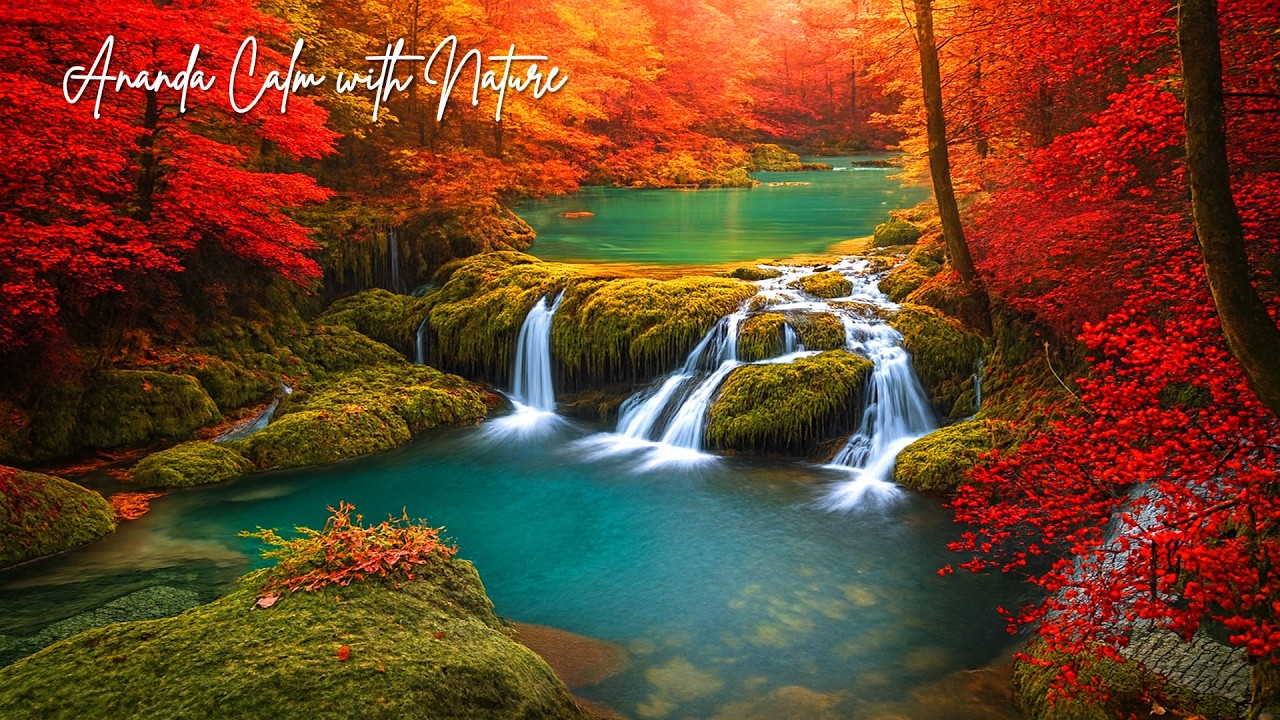 Peaceful Night Routine 🌙 Gentle Night Time Music to Heal Anxiety and Bring Deep Sleep